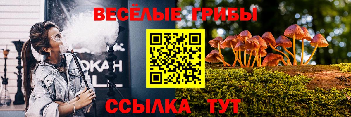 Псилоцибиновые грибы мицелий  Вход с VPN  Выкса 